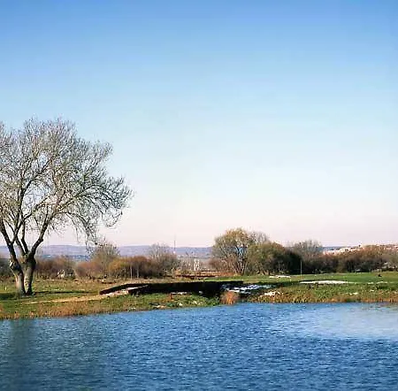 Vettonia 2*